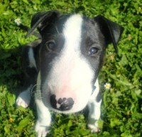 /album/garp/dsc00710g-jpg/