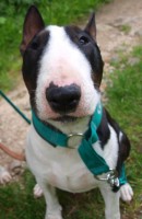 /album/garp/garp-jpg/