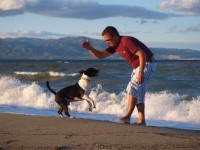 /album/garp-a-lada/lg-jpg/