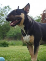 /album/my-a-nasi-hafani-na-vyletech/a472267-3143492114788-556427314-o-jpg/